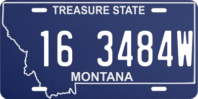 MT license plate 163484W