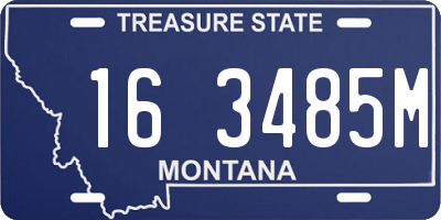 MT license plate 163485M