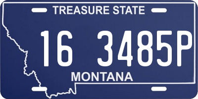 MT license plate 163485P