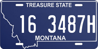 MT license plate 163487H