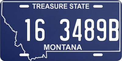MT license plate 163489B