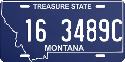 MT license plate 163489C