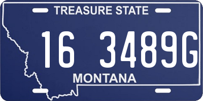 MT license plate 163489G