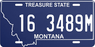 MT license plate 163489M