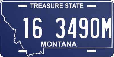 MT license plate 163490M