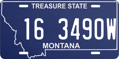 MT license plate 163490W