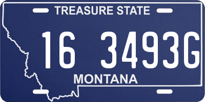 MT license plate 163493G