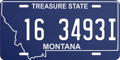 MT license plate 163493I