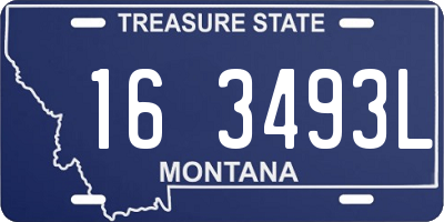 MT license plate 163493L