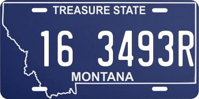 MT license plate 163493R
