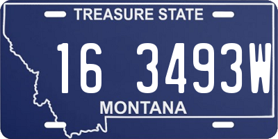 MT license plate 163493W