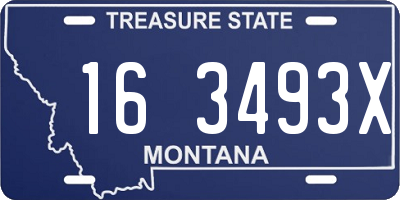 MT license plate 163493X