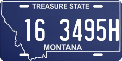 MT license plate 163495H