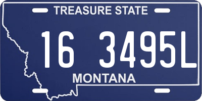MT license plate 163495L