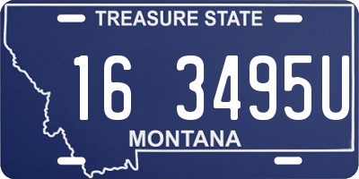 MT license plate 163495U