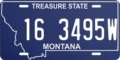 MT license plate 163495W