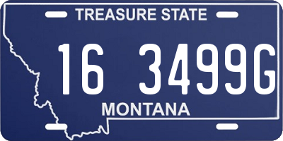 MT license plate 163499G