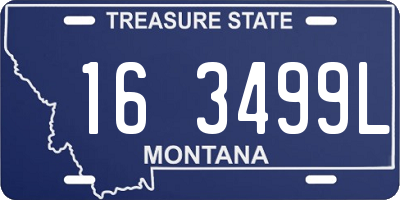 MT license plate 163499L