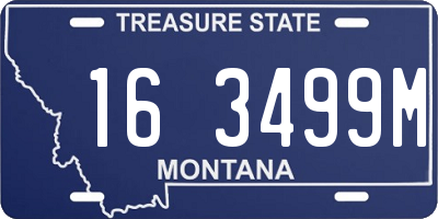 MT license plate 163499M