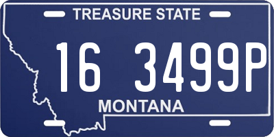 MT license plate 163499P