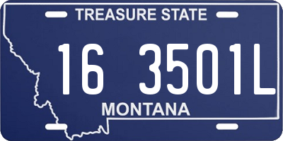MT license plate 163501L