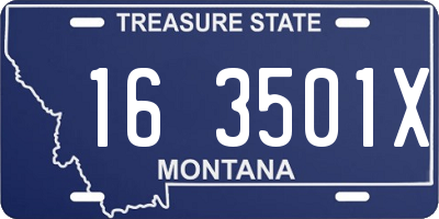 MT license plate 163501X