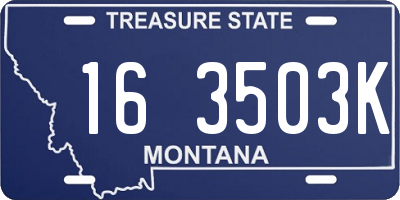 MT license plate 163503K