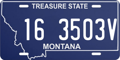 MT license plate 163503V