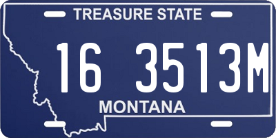 MT license plate 163513M