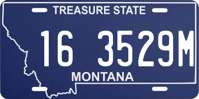 MT license plate 163529M