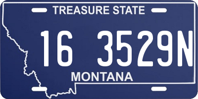 MT license plate 163529N