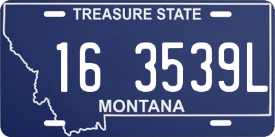 MT license plate 163539L
