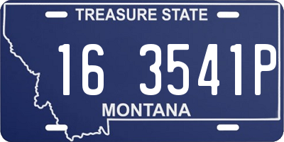 MT license plate 163541P