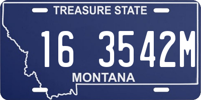 MT license plate 163542M
