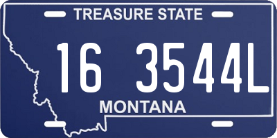 MT license plate 163544L