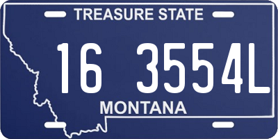 MT license plate 163554L