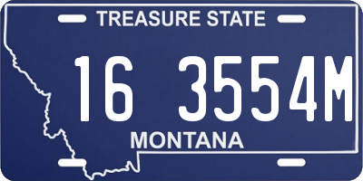 MT license plate 163554M