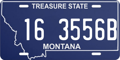 MT license plate 163556B