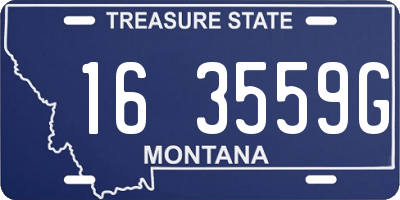 MT license plate 163559G