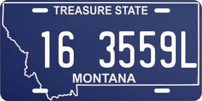 MT license plate 163559L