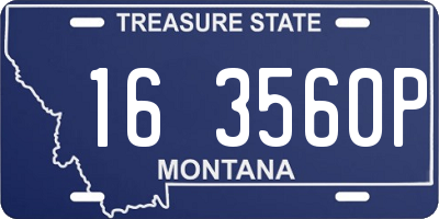MT license plate 163560P