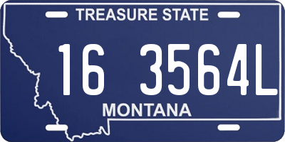 MT license plate 163564L
