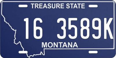 MT license plate 163589K