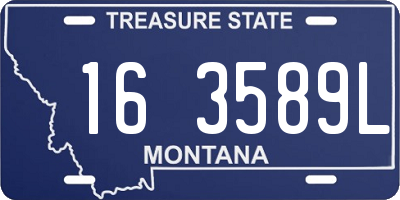 MT license plate 163589L