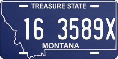MT license plate 163589X