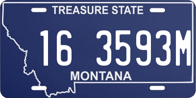 MT license plate 163593M