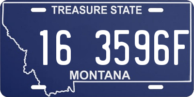 MT license plate 163596F
