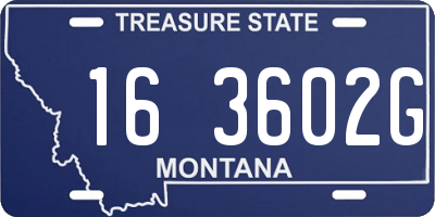 MT license plate 163602G