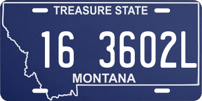 MT license plate 163602L