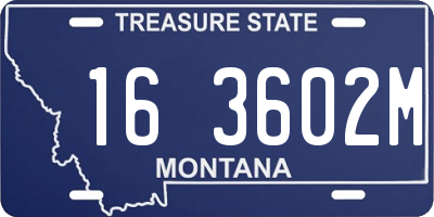 MT license plate 163602M
